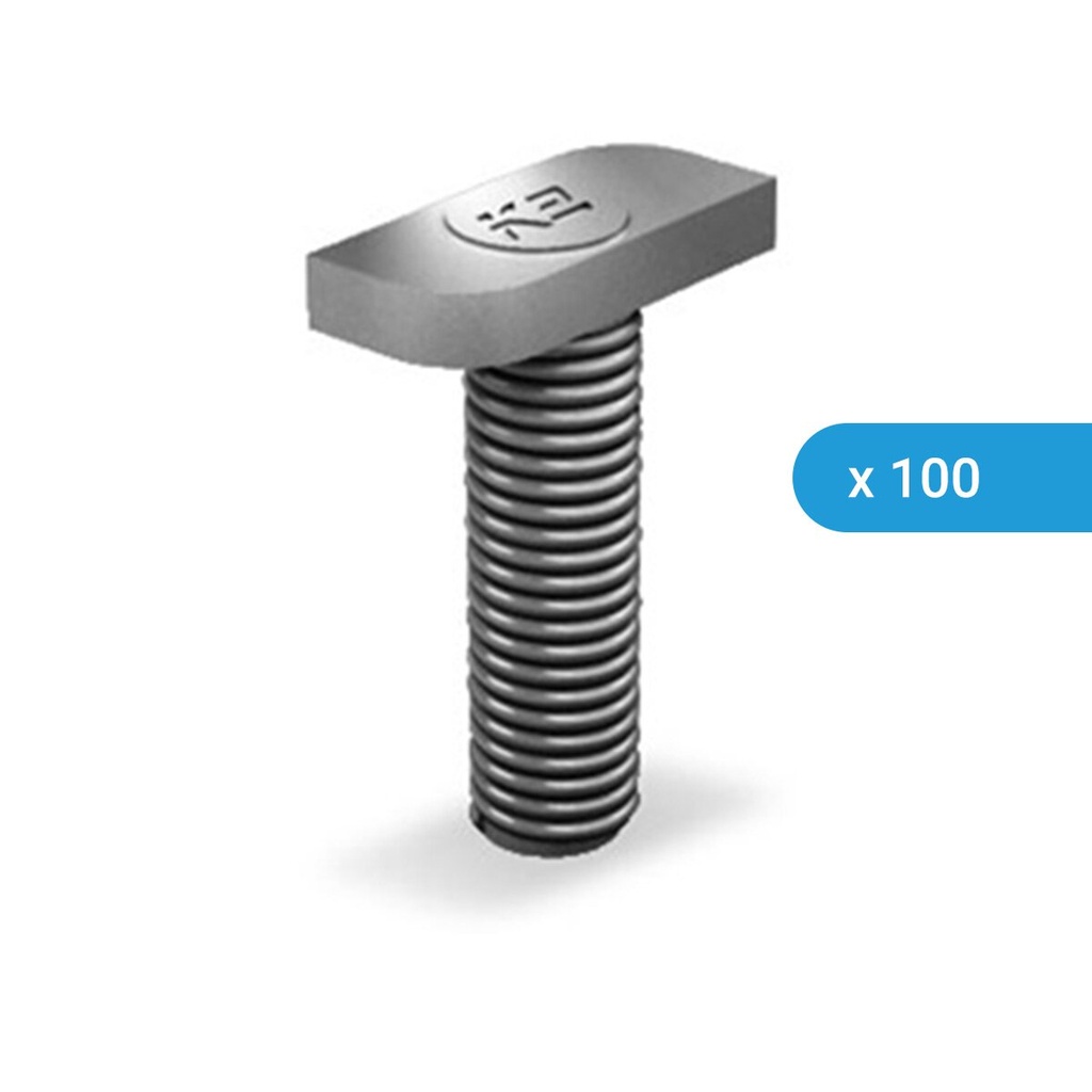[A02158] K2 hammer-head screw 20/12 M8x30 for SingleRal 36/50