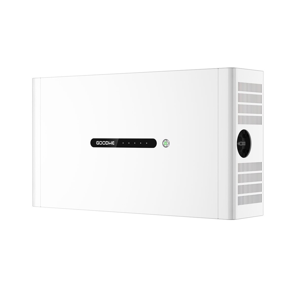[A06259] Module de batterie GoodWe Lynx D LXD5.0-10 de 5 kWh avec BMS